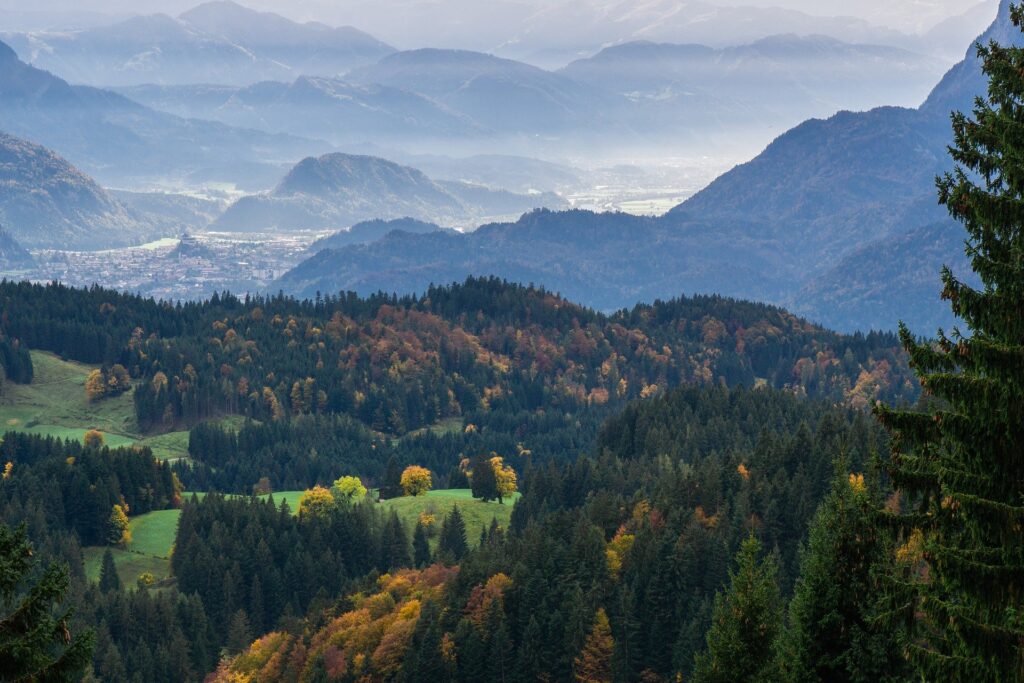 Eine herbstliche Hügellandschaft